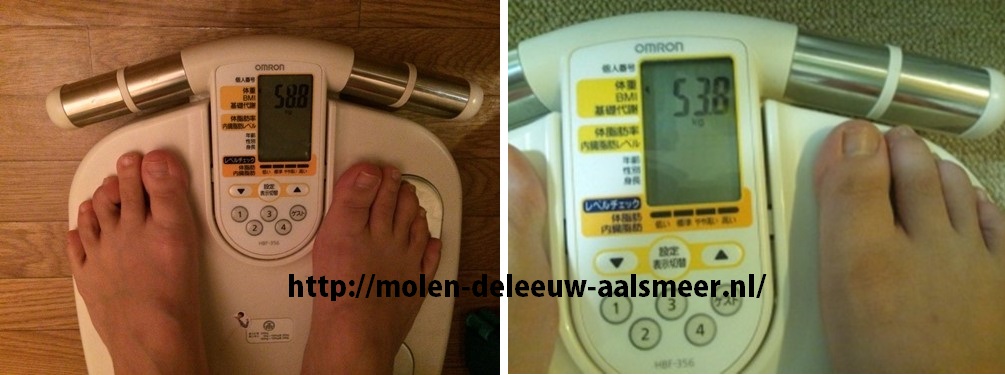 すっきりダイエット茶でダイエット