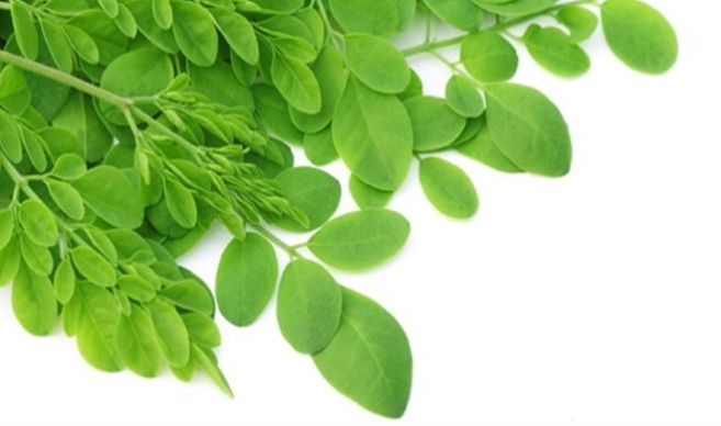 沖縄のダイエット茶